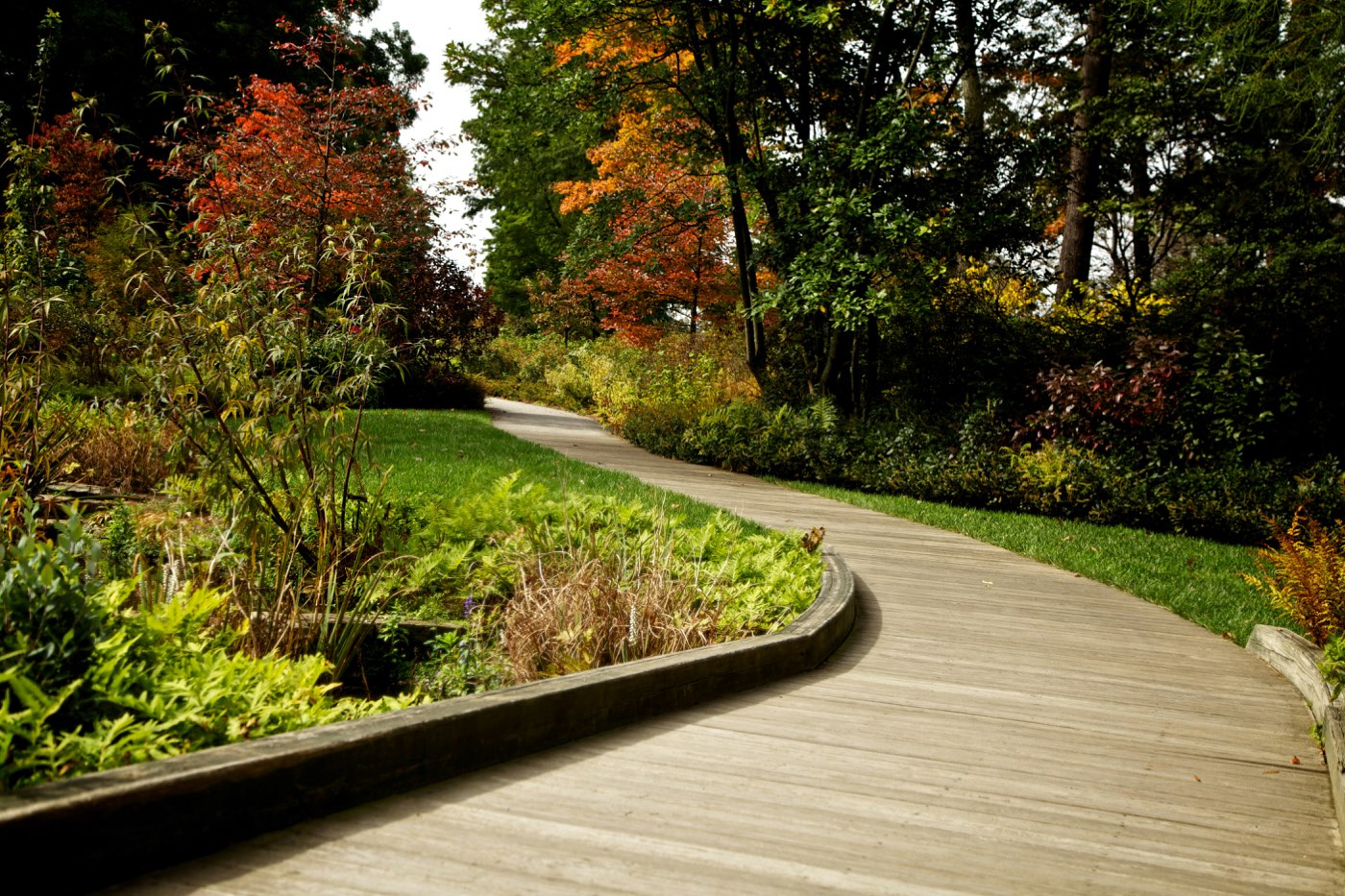 Landscaped walking path through a Texas HOA community