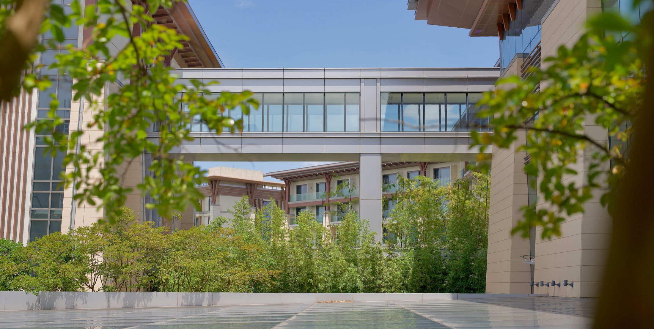 Commercial properties with landscaping designed for Gulf Coast rain